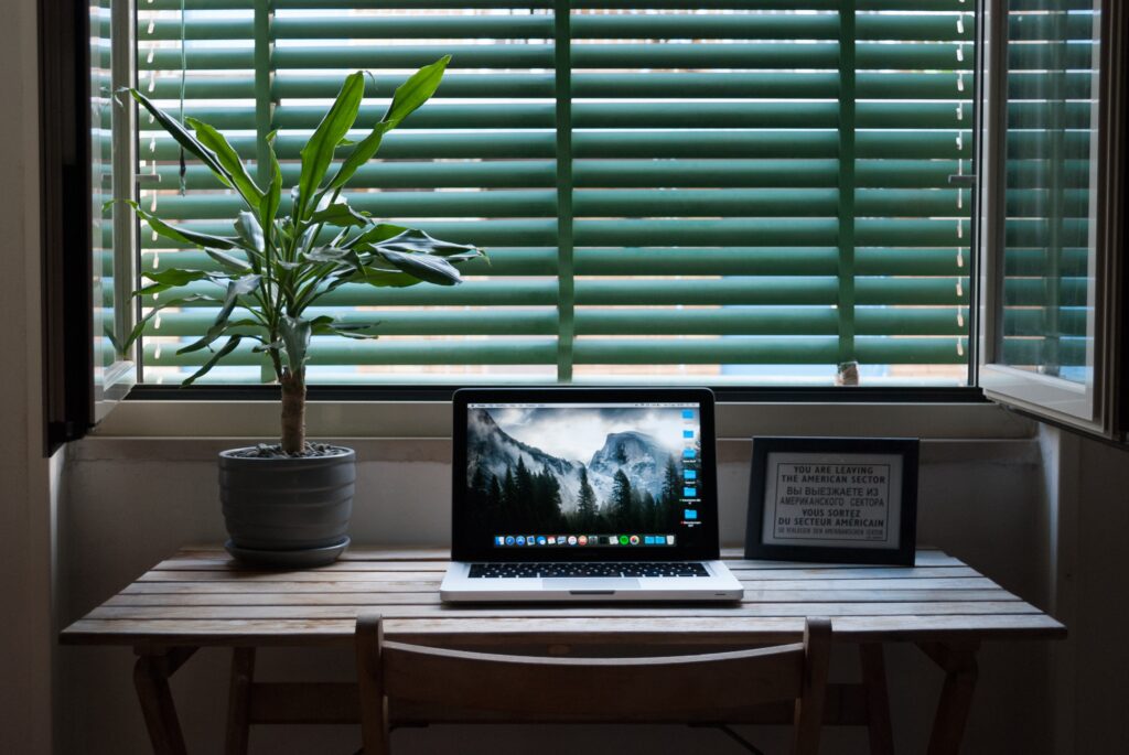 Home Ofis, ev ofis çalışma masası bitkisi